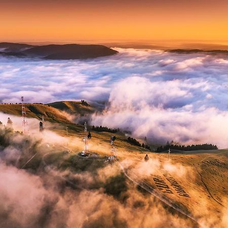 White Apartment Gura Humorului, Bucovina, Voronet المظهر الخارجي الصورة