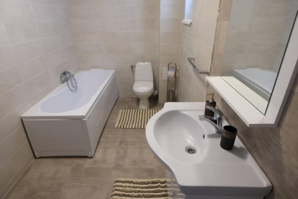 White Apartment Gura Humorului, Bucovina, Voronet المظهر الخارجي الصورة